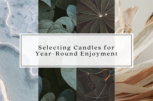 Scent Selection - Finder Your Perfect Year-Round Scents