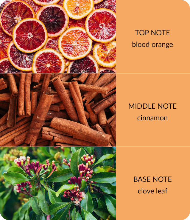 Orange Zest & Clove Oil Candle - Large