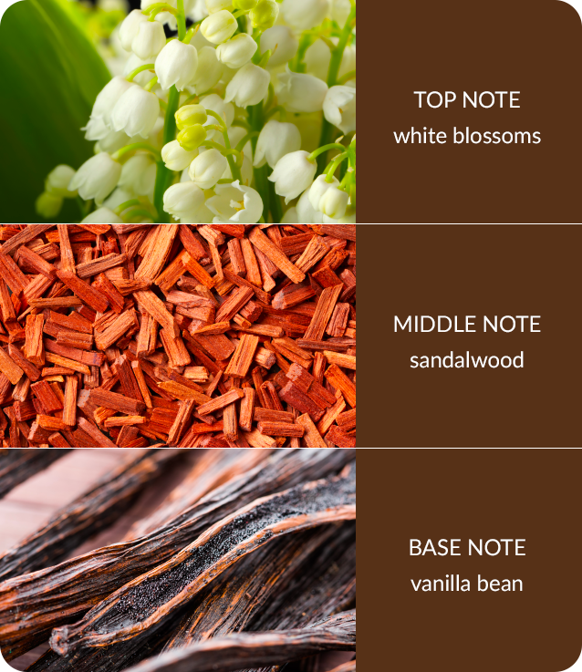 White Blossom & Sandalwood Diffuser