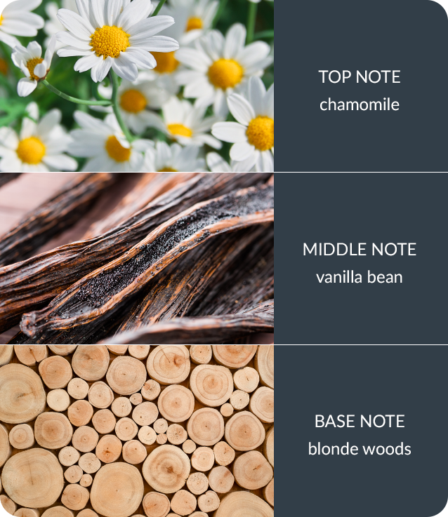 Vanilla & White Woods Essential Oil