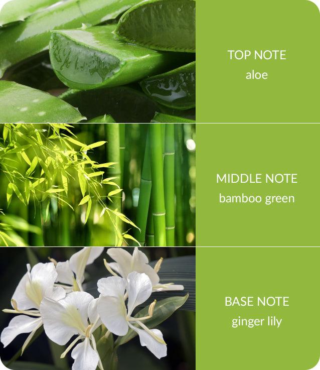 Bamboo & Ginger Lily and Patchouli & Guaiac Wood Candle Set - Heart & Home