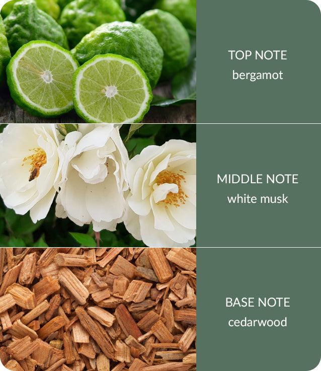 Cedarwood & White Musk Wax Melt - Heart & Home