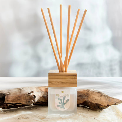 Blissful Oasis Diffuser