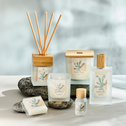 Blissful Oasis Diffuser