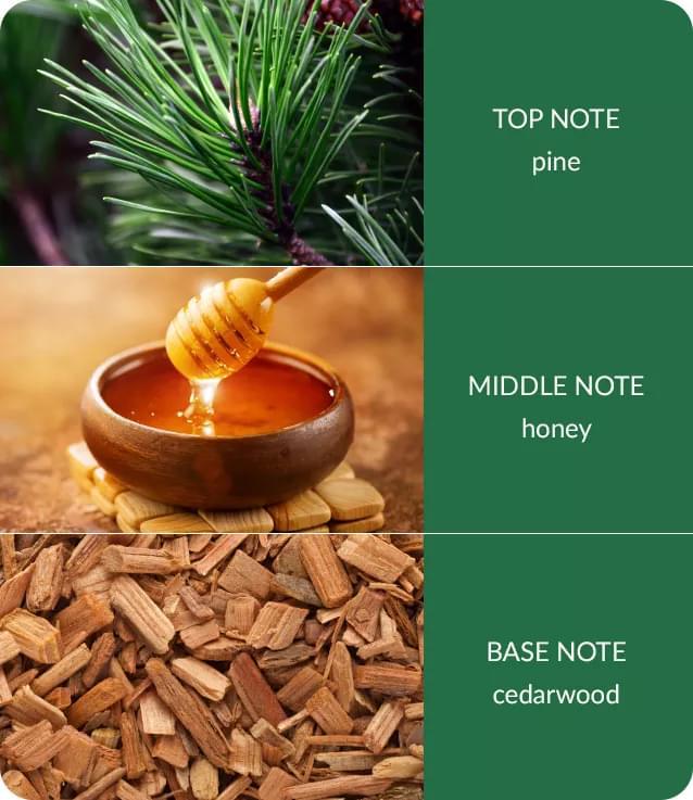 Winter Pine & Cedarwood Wax Melt - Heart & Home